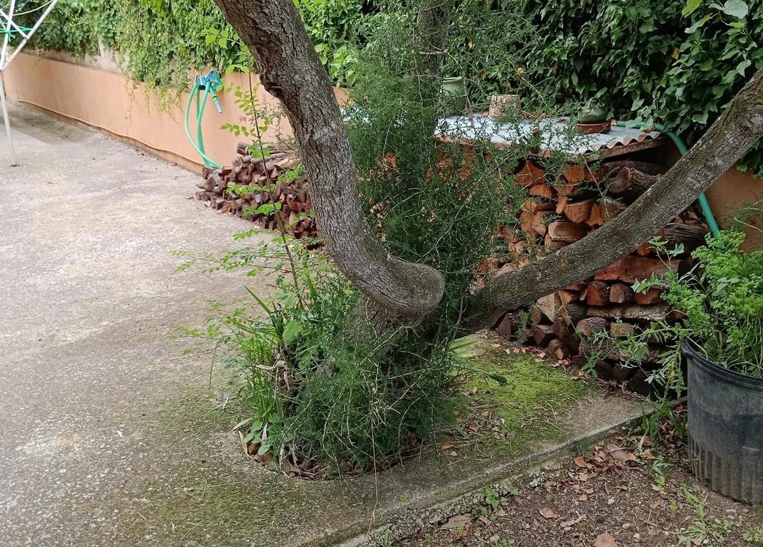 Villa Casa amb jardí a poble de l'Alt Empordà Vilaür  0*, Vilaür (Vilahur) España